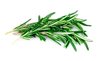 Rosemary